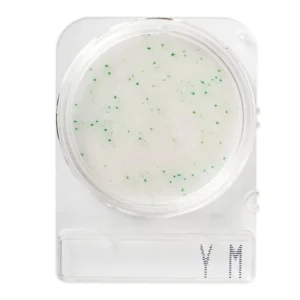 Teste Rápido Microbiológico Compact Dry Bolores e Leveduras Ym