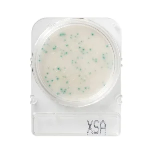 Teste Rápido Microbiológico Compact Dry Staphylococcus Aureus X-sa